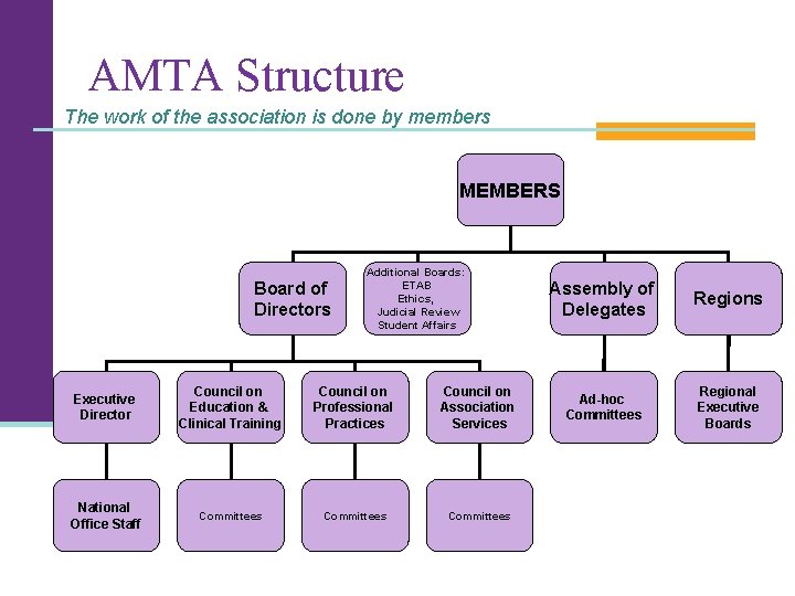 AMTA Structure The work of the association is done by members MEMBERS Board of