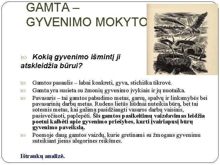 GAMTA – GYVENIMO MOKYTOJA Kokią gyvenimo išmintį ji atskleidžia būrui? Gamtos pasaulis – labai