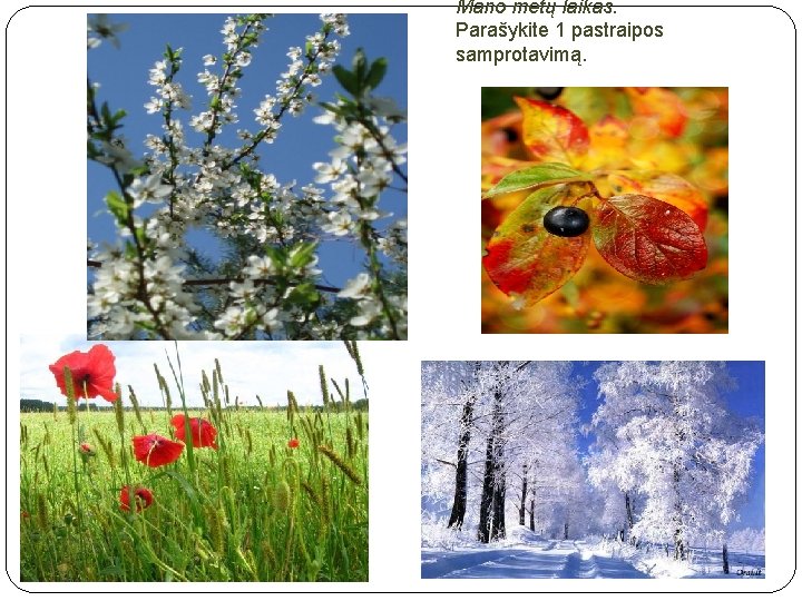 Mano metų laikas. Parašykite 1 pastraipos samprotavimą. 