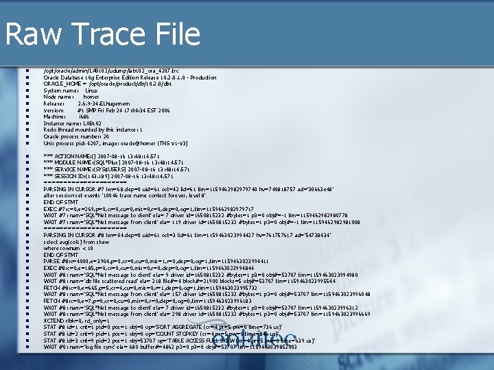 Raw Trace File n n n /opt/oracle/admin/LAB 102/udump/lab 102_ora_4207. trc Oracle Database 10 g Raw Trace File n n n /opt/oracle/admin/LAB 102/udump/lab 102_ora_4207. trc Oracle Database 10 g