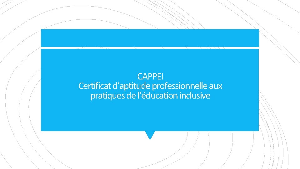 CAPPEI Certificat d’aptitude professionnelle aux pratiques de l’éducation inclusive 