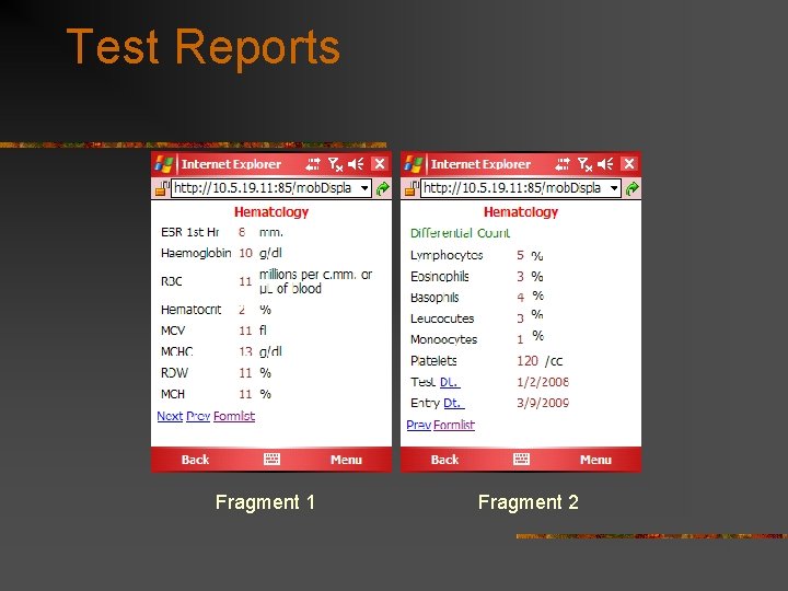 Test Reports Fragment 1 Fragment 2 