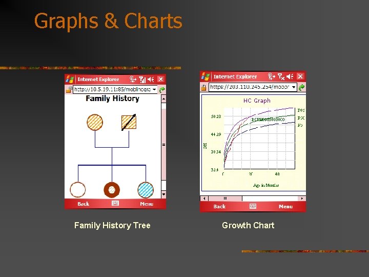 Graphs & Charts Family History Tree Growth Chart 