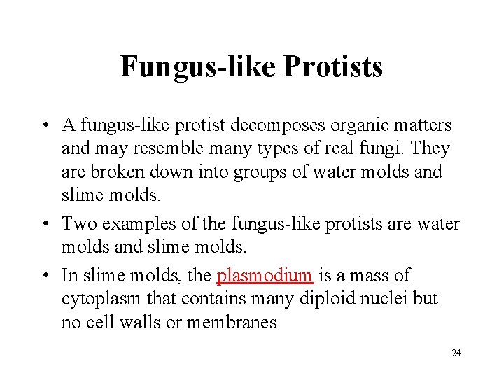 Fungus-like Protists • A fungus-like protist decomposes organic matters and may resemble many types