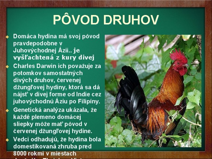 PÔVOD DRUHOV u u Domáca hydina má svoj pôvod pravdepodobne v Juhovýchodnej Ázii. . PÔVOD DRUHOV u u Domáca hydina má svoj pôvod pravdepodobne v Juhovýchodnej Ázii. .