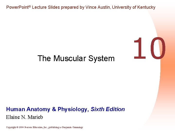 Power. Point® Lecture Slides prepared by Vince Austin, University of Kentucky The Muscular System