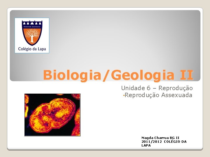 Biologia/Geologia II Unidade 6 – Reprodução • Reprodução Assexuada Magda Charrua BG II 2011/2012