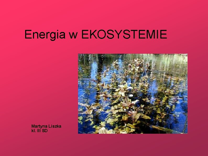 Energia w EKOSYSTEMIE Martyna Liszka kl. III SD 