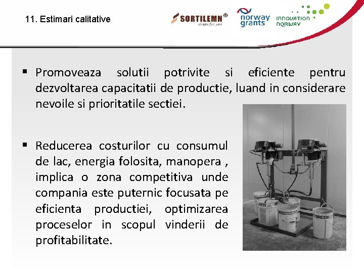 11. Estimari calitative § Promoveaza solutii potrivite si eficiente pentru dezvoltarea capacitatii de productie,