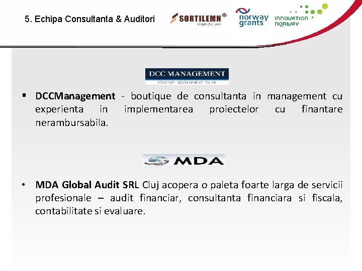 5. Echipa Consultanta & Auditori § DCCManagement - boutique de consultanta in management cu