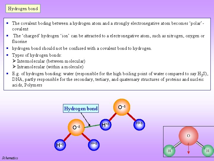 Hydrogen bond § The covalent boding between a hydrogen atom and a strongly electronegative