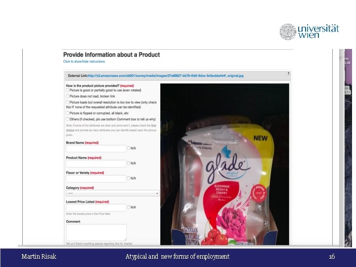 Martin Risak Atypical and new forms of employment 16 