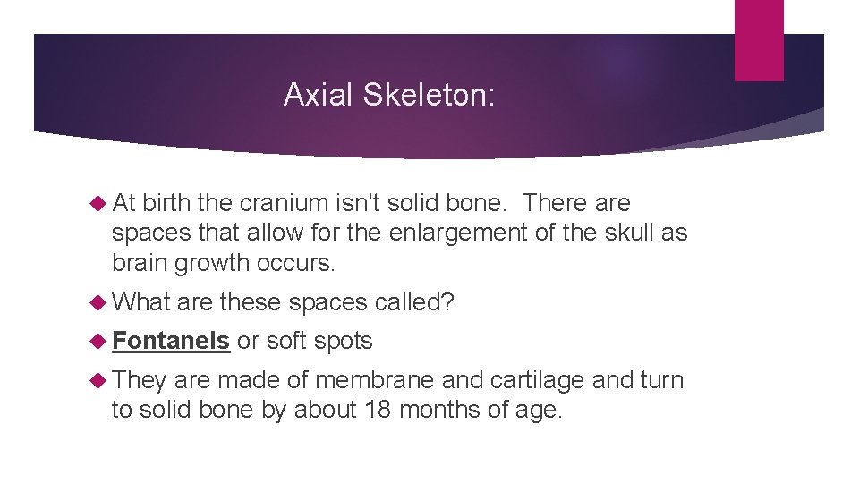 Axial Skeleton: At birth the cranium isn’t solid bone. There are spaces that allow