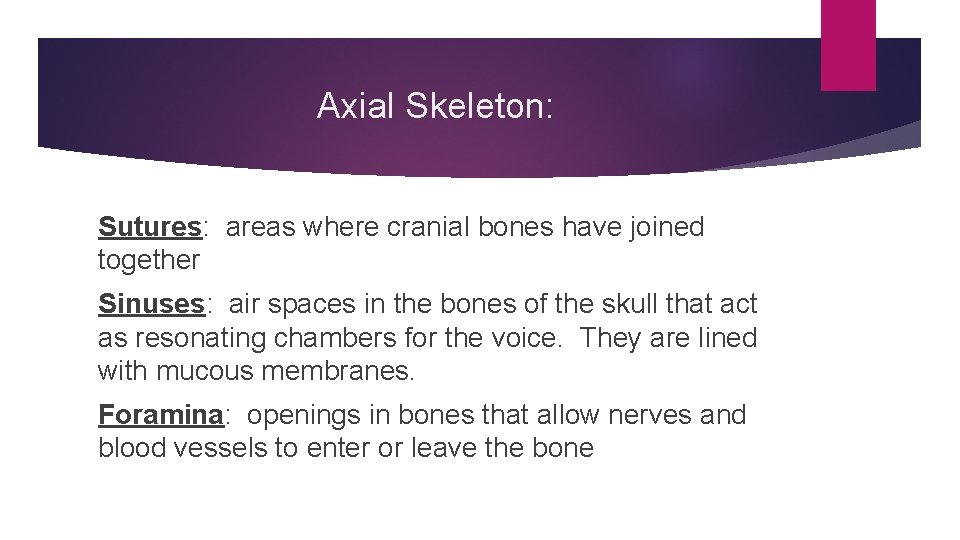 Axial Skeleton: Sutures: areas where cranial bones have joined together Sinuses: air spaces in