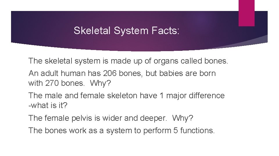 Skeletal System Facts: The skeletal system is made up of organs called bones. An