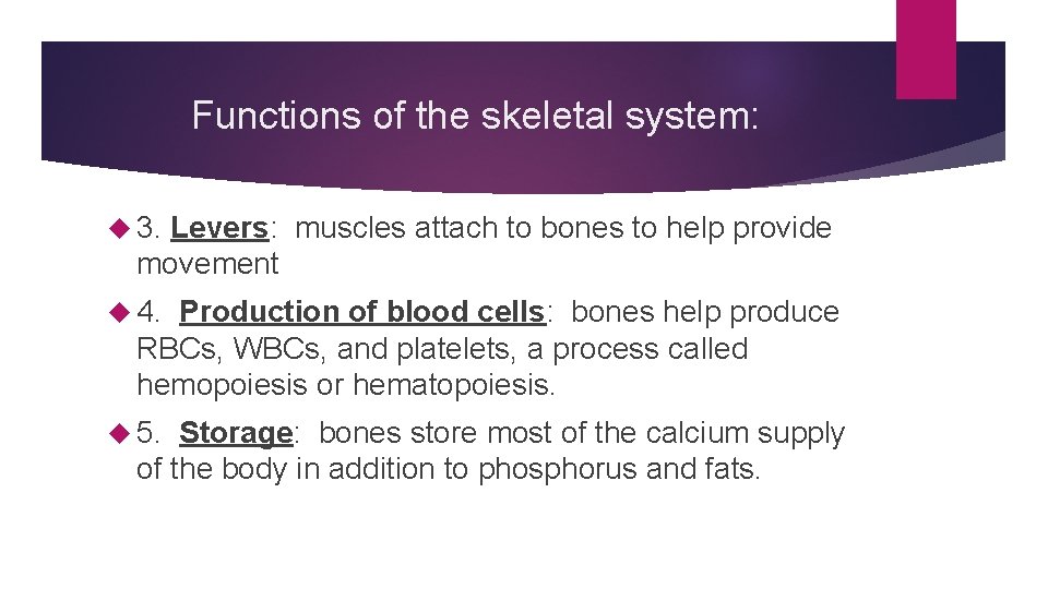 Functions of the skeletal system: 3. Levers: muscles attach to bones to help provide