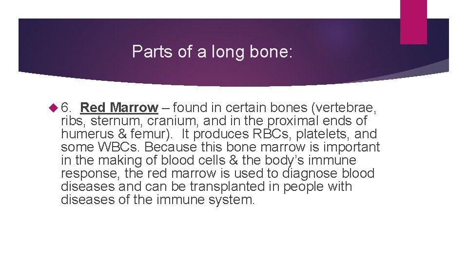 Parts of a long bone: 6. Red Marrow – found in certain bones (vertebrae,