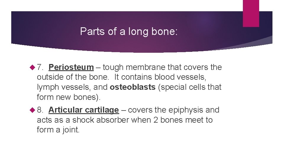 Parts of a long bone: 7. Periosteum – tough membrane that covers the outside