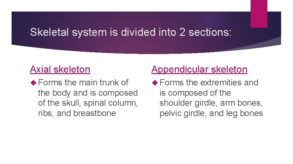 Skeletal system is divided into 2 sections: Axial skeleton Appendicular skeleton Forms the main