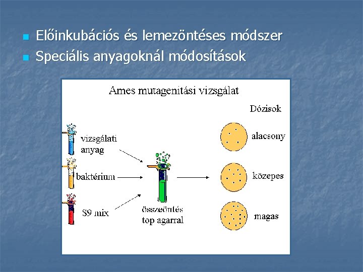 n n Előinkubációs és lemezöntéses módszer Speciális anyagoknál módosítások n n Előinkubációs és lemezöntéses módszer Speciális anyagoknál módosítások