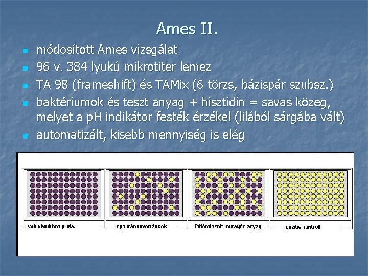 Ames II. n n n módosított Ames vizsgálat 96 v. 384 lyukú mikrotiter lemez