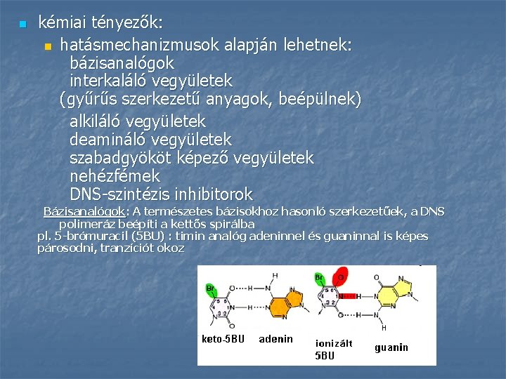 n kémiai tényezők: n hatásmechanizmusok alapján lehetnek: bázisanalógok interkaláló vegyületek (gyűrűs szerkezetű anyagok, beépülnek)