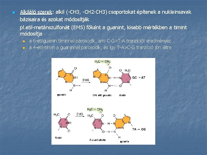 n Alkiláló szerek: alkil (-CH 3, -CH 2 -CH 3) csoportokat építenek a nukleinsavak