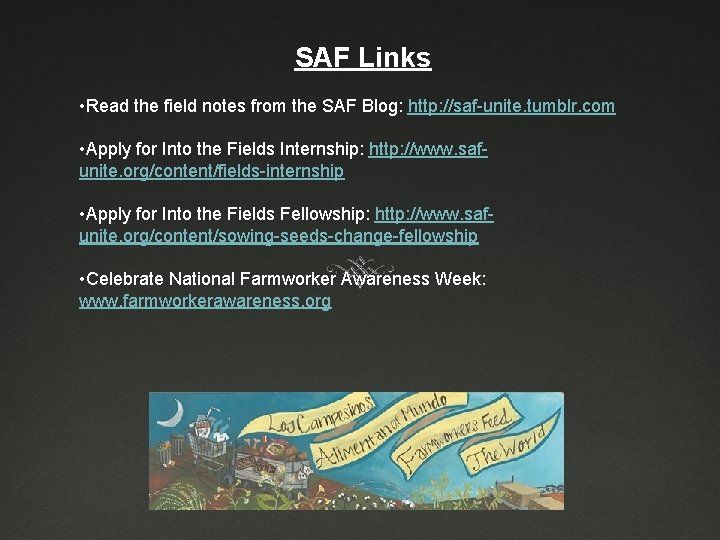 SAF Links • Read the field notes from the SAF Blog: http: //saf-unite. tumblr.