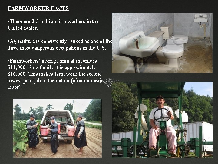 FARMWORKER FACTS • There are 2 -3 million farmworkers in the United States. •