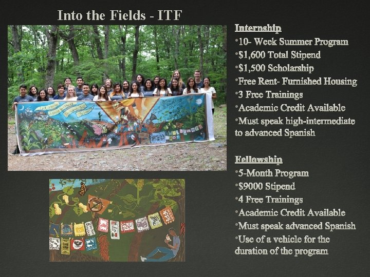 Into the Fields - ITF Internship • 10 - Week Summer Program • $1,