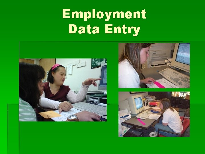 Employment Data Entry 