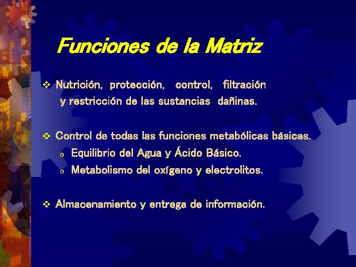 Funciones de la Matriz v Nutrición, protección, control, filtración y restricción de las sustancias