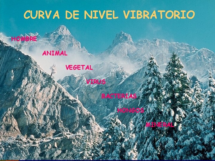 CURVA DE NIVEL VIBRATORIO HOMBRE ANIMAL VEGETAL VIRUS BACTERIAS HONGOS MINERAL 
