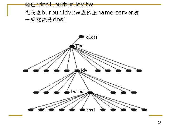 網址: dns 1. burbur. idv. tw 代表在burbur. idv. tw機器上name server有 一筆紀錄是dns 1 25 