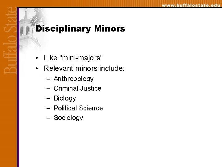 Disciplinary Minors • Like “mini-majors” • Relevant minors include: – – – Anthropology Criminal