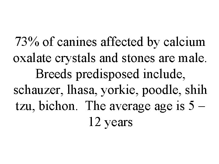73% of canines affected by calcium oxalate crystals and stones are male. Breeds predisposed