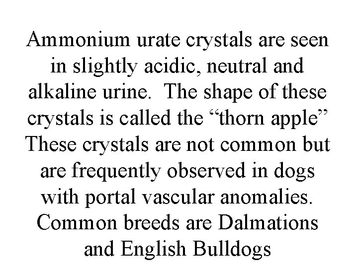 Ammonium urate crystals are seen in slightly acidic, neutral and alkaline urine. The shape