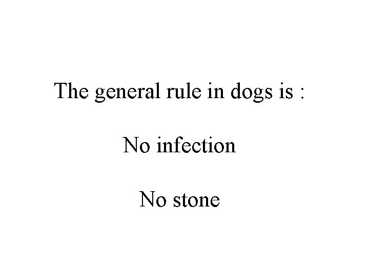 The general rule in dogs is : No infection No stone 