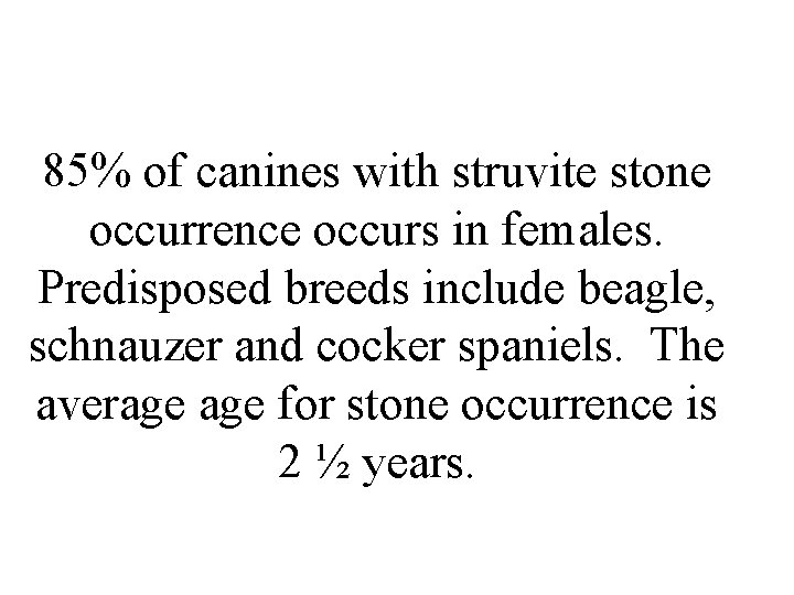 85% of canines with struvite stone occurrence occurs in females. Predisposed breeds include beagle,