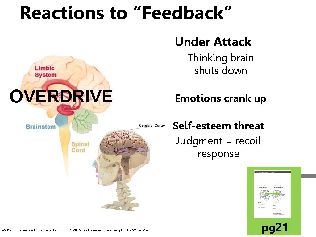 Reactions to “Feedback” Under Attack Thinking brain shuts down OVERDRIVE Emotions crank up Self-esteem Reactions to “Feedback” Under Attack Thinking brain shuts down OVERDRIVE Emotions crank up Self-esteem