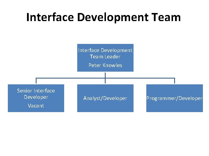 Interface Development Team Leader Peter Knowles Senior Interface Developer Vacant Analyst/Developer Programmer/Developer 