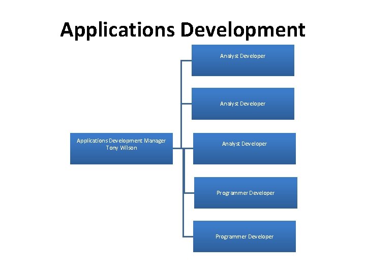 Applications Development Analyst Developer Applications Development Manager Tony Wilson Analyst Developer Programmer Developer 