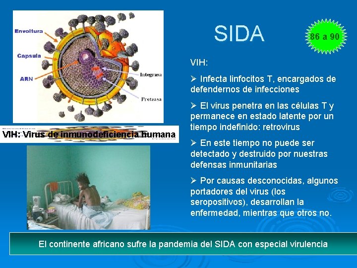 SIDA 86 a 90 VIH: Ø Infecta linfocitos T, encargados de defendernos de infecciones