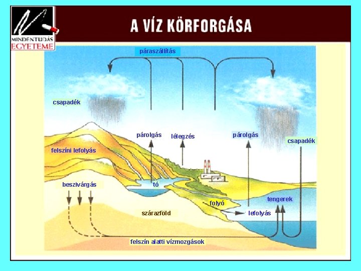 páraszállítás csapadék párolgás lélegzés csapadék felszíni lefolyás beszivárgás tó folyó szárazföld felszín alatti vízmozgások