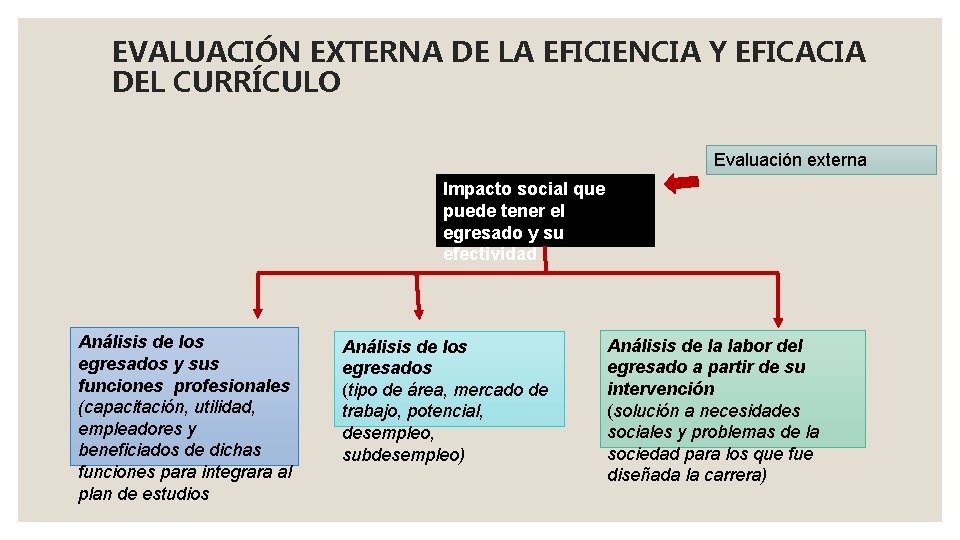 EVALUACIÓN EXTERNA DE LA EFICIENCIA Y EFICACIA DEL CURRÍCULO Evaluación externa Impacto social que