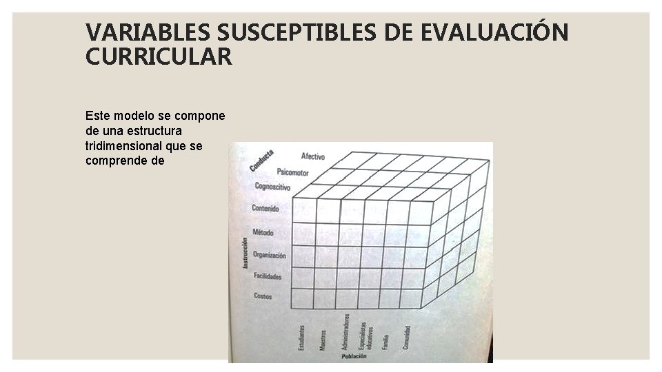 VARIABLES SUSCEPTIBLES DE EVALUACIÓN CURRICULAR Este modelo se compone de una estructura tridimensional que VARIABLES SUSCEPTIBLES DE EVALUACIÓN CURRICULAR Este modelo se compone de una estructura tridimensional que