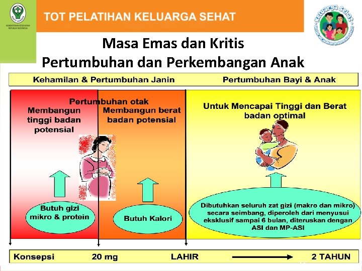 Masa Emas dan Kritis Pertumbuhan dan Perkembangan Anak 56 
