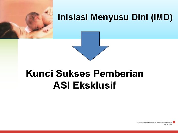 Inisiasi Menyusu Dini (IMD) Kunci Sukses Pemberian ASI Eksklusif 
