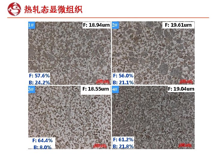 热轧态显微组织 1# F: 57. 6% B: 24. 2% 3# F: 64. 4% B: 8.