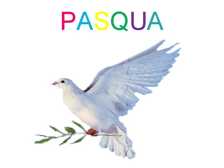 PASQUA PASQUA